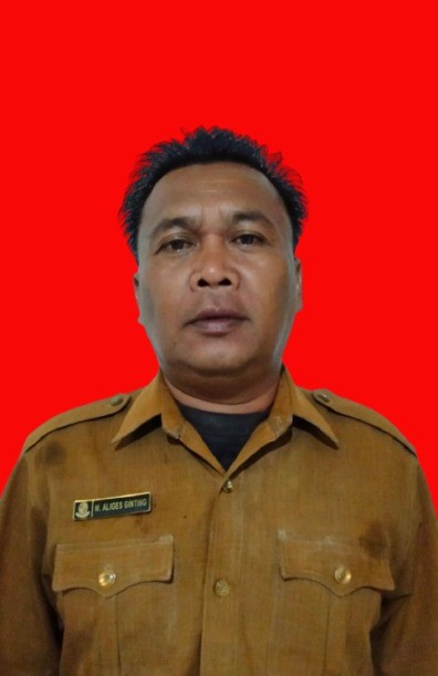 M. Aliges Ginting